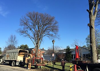 Louisville Tree Services Louisville Tree Service, LLC