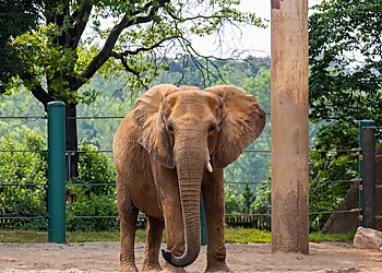 Louisville Places To See Louisville Zoo