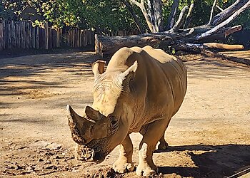Louisville Places To See Louisville Zoo
