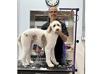 Love My Dog Resort St Petersburg Pet Grooming image 1