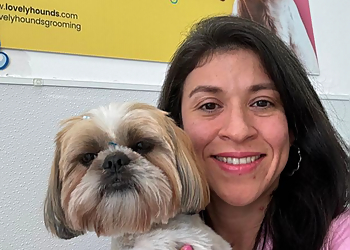Lovely hounds Pet grooming Hollywood Pet Grooming image 1
