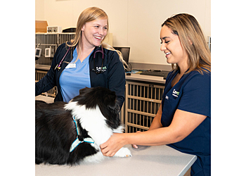 Peoria Veterinary Clinics Lovet Pet Health Care