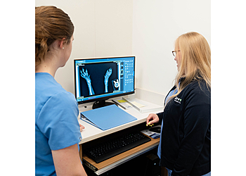 Peoria Veterinary Clinics Lovet Pet Health Care