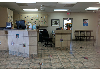 Glendale Veterinary Clinics Lovet Pet Health Care Arrow