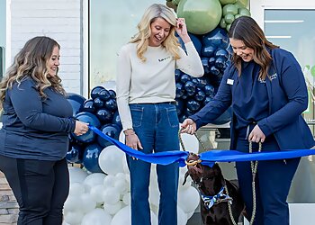 Mesa Veterinary Clinics Lovet Pet Health Care-Dobson Ranch