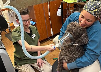 Aurora Veterinary Clinics Loving Family Animal Hospital