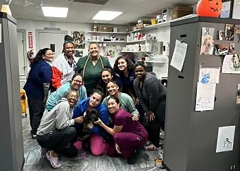 New Orleans Veterinary Clinics Low Cost Animal Medical Center