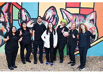 Low Cost Veterinary Surgery Clinic Low Cost Veterinary Surgery Clinic - Scottsdale, AZ Veterinary Clinics - Doctor With Patient Image