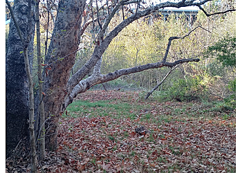 Pasadena Hiking Trails Lower Arroyo Park
