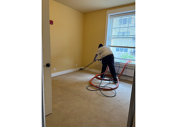 Tacoma Carpet Cleaners Loyal Carpet and Upholstery Cleaning Services