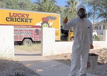 Lucky Cricket Chimney Sweep Tucson Chimney Sweep