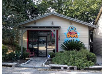 Austin pet grooming Lucky Dog Grooming