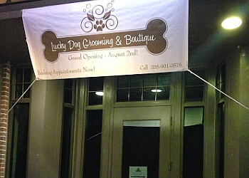 Lucky Dog Grooming & Boutique Birmingham Pet Grooming