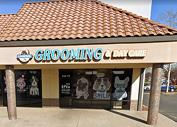 Lucky Dog Grooming & Day Care Roseville Pet Grooming image 1