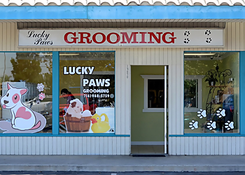Lucky Paws Grooming Huntington Beach Pet Grooming image 1