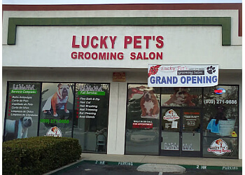 Lucky Pets Grooming Salon