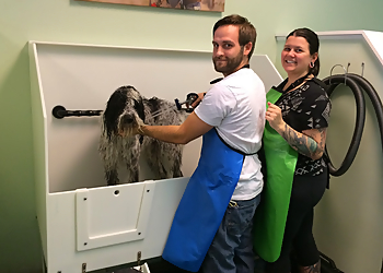 Chesapeake Pet Grooming Lucky Pups Pet Wash