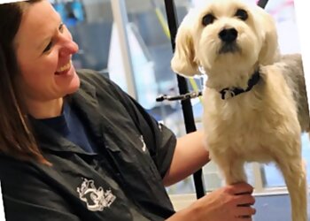 San Antonio Pet Grooming Lucy's Doggy Daycare and Spa