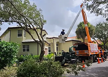 Coral Springs Tree Services Lumberjack Jake's South Florida Tree Service