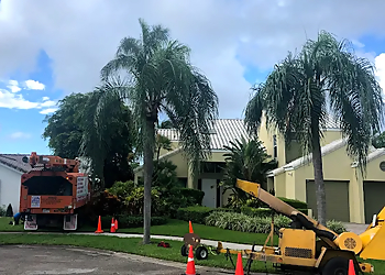 Coral Springs Tree Services Lumberjack Jake's South Florida Tree Service