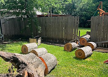 Frisco Tree Services Lumberjack Tree Service