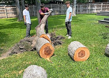 Frisco Tree Services Lumberjack Tree Service