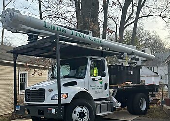  Luna Tree Care LLC Hartford Tree Services image 1