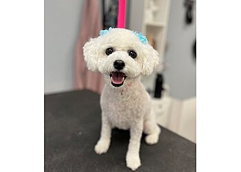 San Jose Pet Grooming Lush Spaw