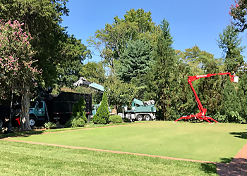 Winston Salem Tree Services Lusk Tree Service Inc.