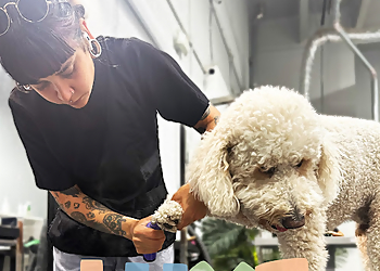 Hialeah Pet Grooming Luxe Pet Care
