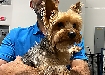 Hialeah Pet Grooming Luxe Pet Care