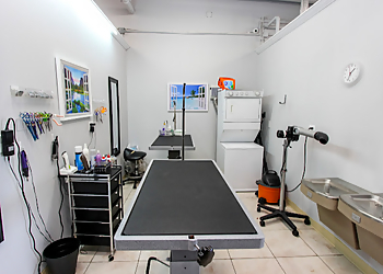 Luxe Pet Care Hialeah Pet Grooming image 1