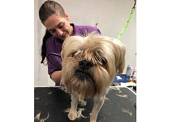 Shreveport Pet Grooming Luxury Grooming Rooming and Daycare