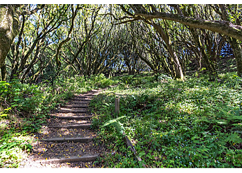 Lynch Canyon Open Space Fairfield Hiking Trails image 1