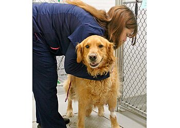 Syracuse Veterinary Clinics Lyncourt Veterinary Hospital