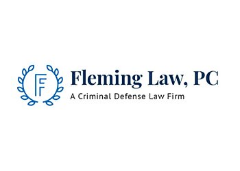 Savannah Criminal Defense Lawyers Lynne M. Fleming - FLEMING LAW, PC.