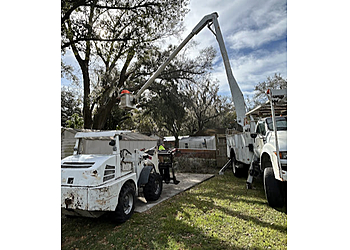 Lakeland Tree Services Lyons Family Tree Care