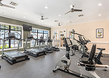 MAA Haven at Blanco - San Antonio, TX Apartments For Rent - Fitness Activity Image