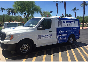 MAMMOTH SERVICES 