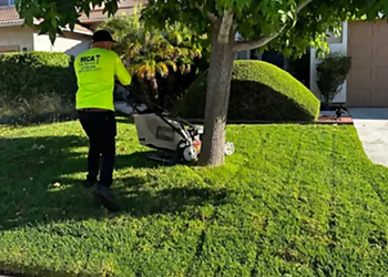 MCA Tree Service - Fontana, CA Lawn Care Services - Field Work Image