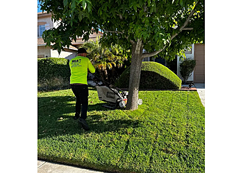 Fontana Lawn Care Services MCA Tree Service Landscape