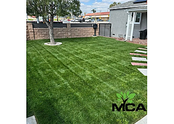 MCA Tree Service Landscape Fontana Lawn Care Services image 1