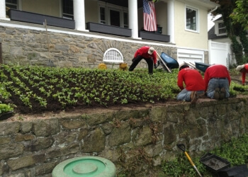 M.Carbillano Landscaping & Design