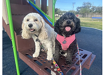 MG Doggies Pet Sitting & Dog Walking - Corpus Christi, TX Dog Walkers - Facility Image