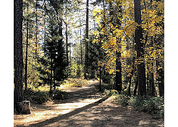 MINERS RAVINE TRAIL Roseville Hiking Trails