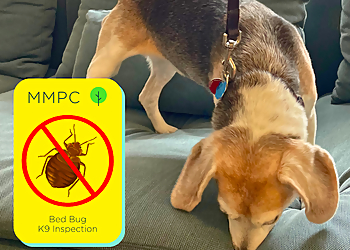 New York Pest Control Companies MMPC