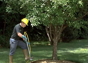 Milwaukee Tree Services M&M Tree Care