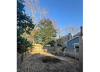 Norfolk Tree Services M&M Tree service