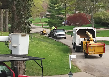 Dayton Tree Services MRB Tree Service