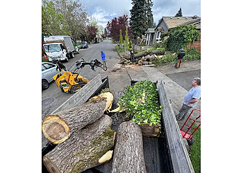 Vancouver Tree Services M&R Tree services